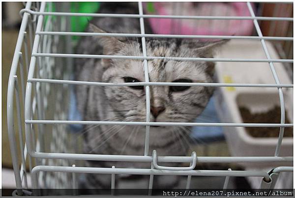 2012-01-22_00040 2012-01-22_00040