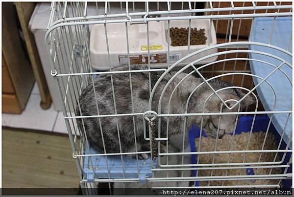 2012-01-22_00042 2012-01-22_00042