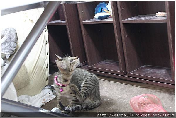 2012-01-22_00045 2012-01-22_00045