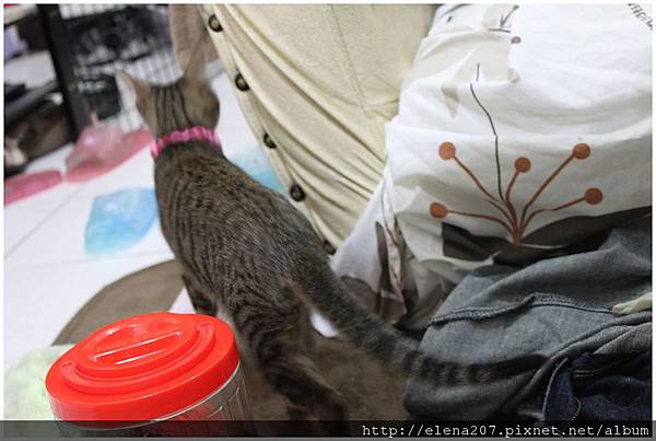 2012-01-22_00046 2012-01-22_00046