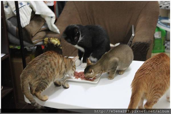 2012-01-22_00052 2012-01-22_00052