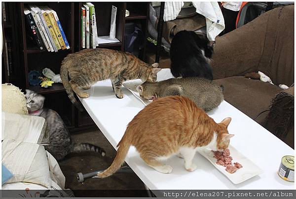 2012-01-22_00053 2012-01-22_00053