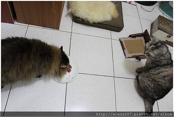 2012-01-22_00054 2012-01-22_00054