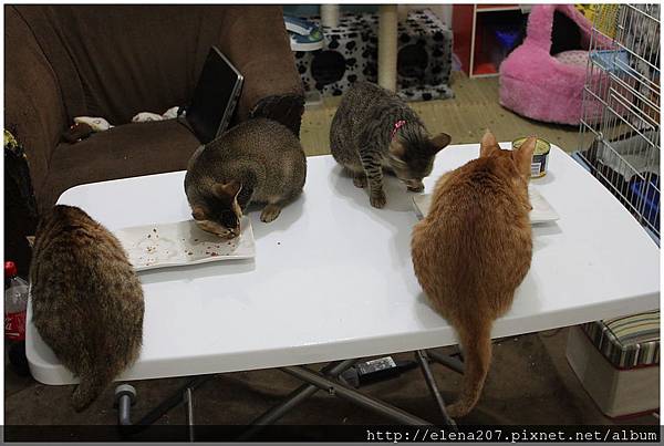 2012-01-22_00055 2012-01-22_00055