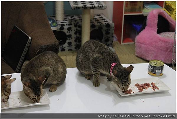 2012-01-22_00057 2012-01-22_00057