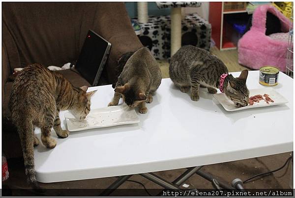 2012-01-22_00058 2012-01-22_00058