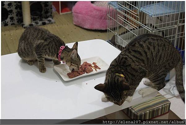 2012-01-22_00059 2012-01-22_00059