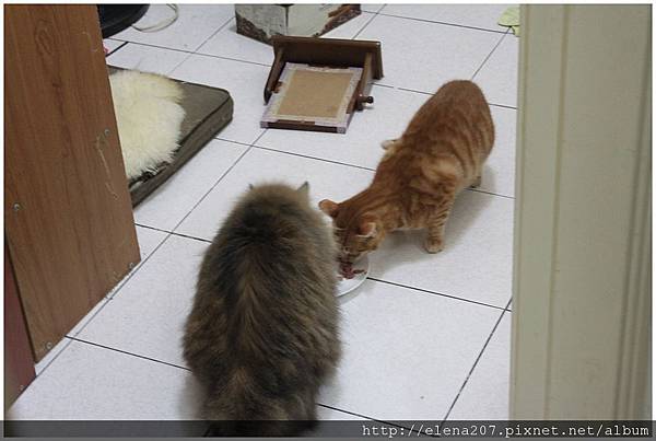 2012-01-22_00060 2012-01-22_00060