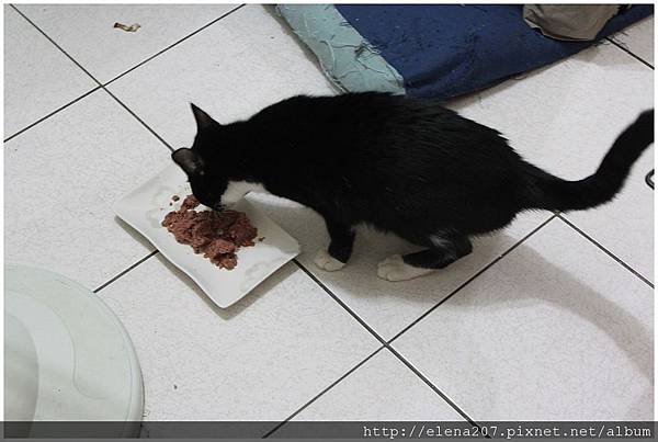 2012-01-22_00062 2012-01-22_00062