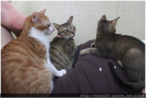 2012-01-22_00064 2012-01-22_00064