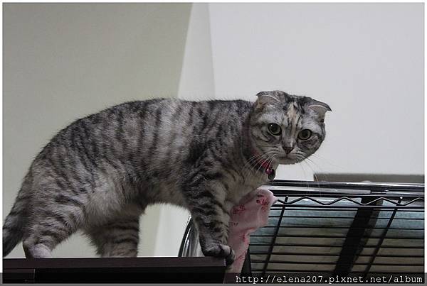 2012-01-22_00065 2012-01-22_00065