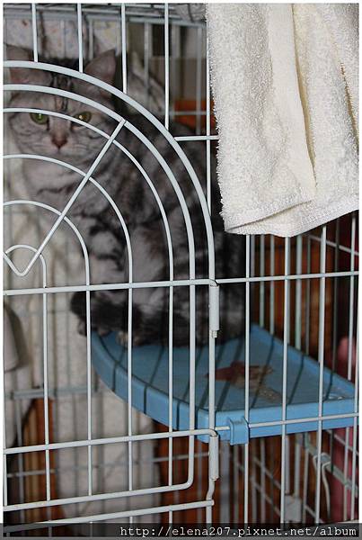 2012-01-29_00068 2012-01-29_00068