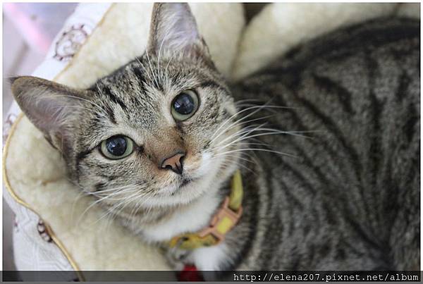 2012-02-05_00071 2012-02-05_00071