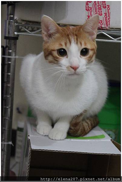 2012-02-05_00072 2012-02-05_00072