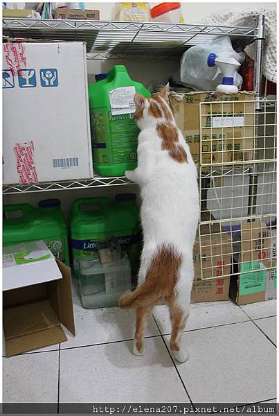 2012-02-05_00073 2012-02-05_00073