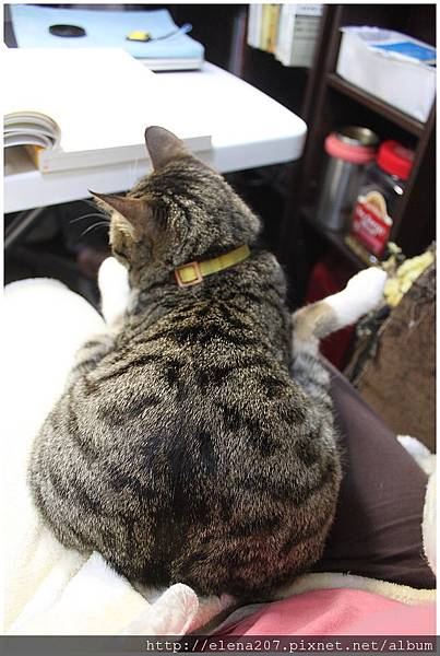 2012-02-08_00074 2012-02-08_00074