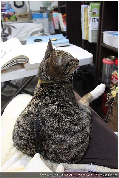 2012-02-08_00076 2012-02-08_00076