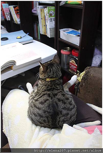 2012-02-08_00077 2012-02-08_00077