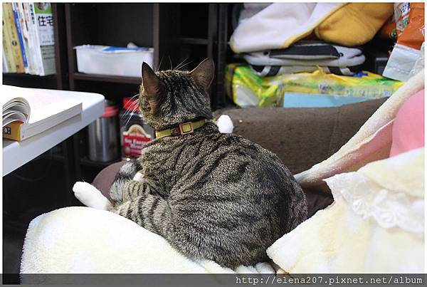 2012-02-08_00078 2012-02-08_00078