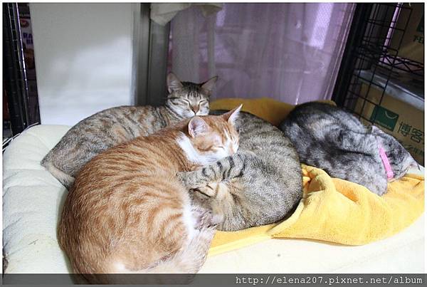 2012-02-18_00082 2012-02-18_00082