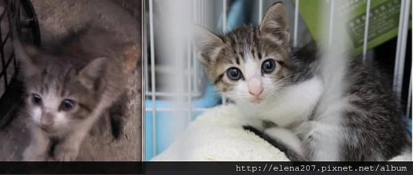 931358_542931245745079_903017986_n