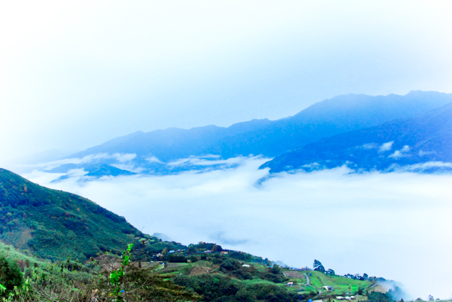 20111211-DSC_0979.jpg 20111211-DSC_0979.jpg