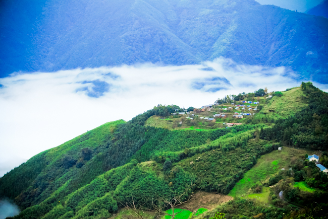 20111211-DSC_0974.jpg 20111211-DSC_0974.jpg