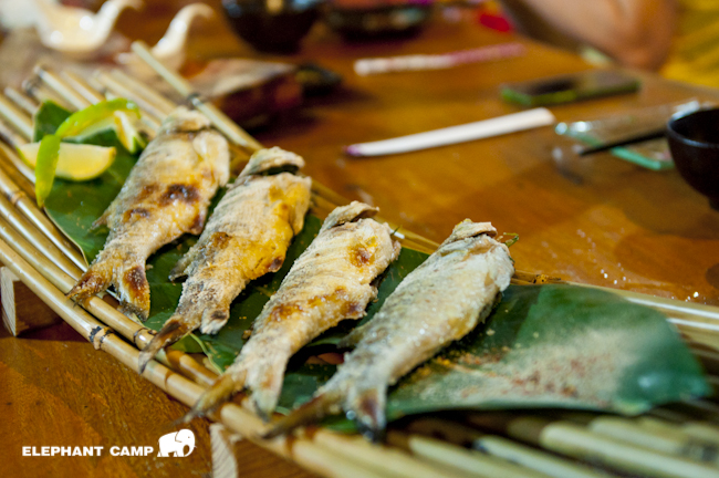 DSC_1884-7 DSC_1884-7