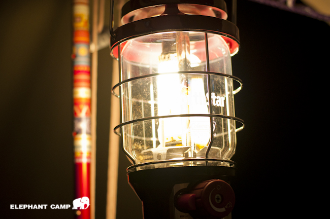 DSC_2155-79 DSC_2155-79