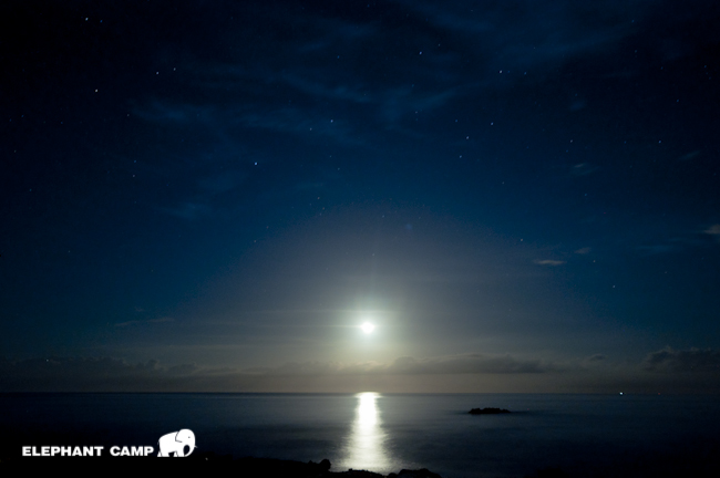 DSC_2194-87 DSC_2194-87