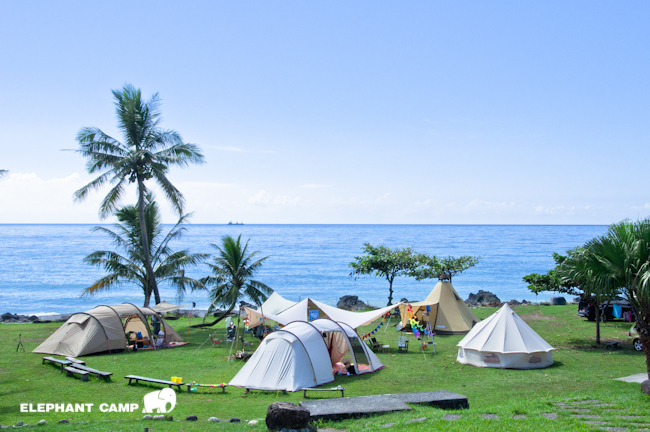 DSC_2265-101 DSC_2265-101