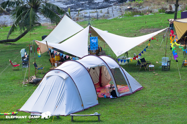 DSC_2285-110 DSC_2285-110