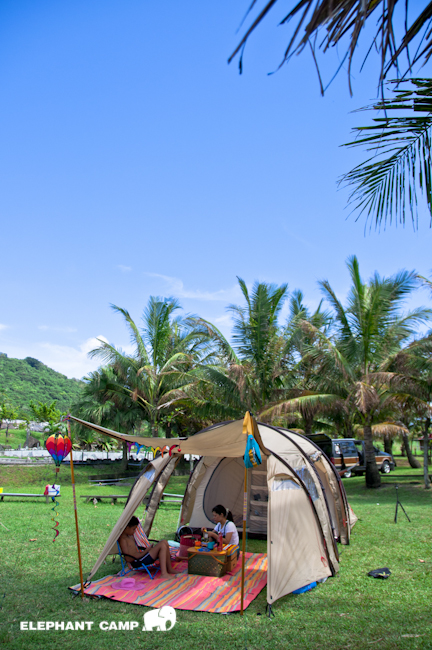 DSC_2302-113 DSC_2302-113