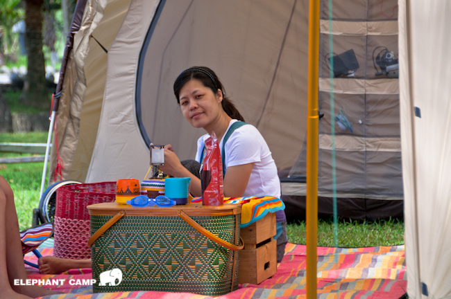 DSC_2310-115 DSC_2310-115