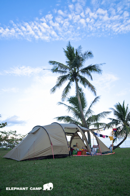 DSC_2375-130 DSC_2375-130