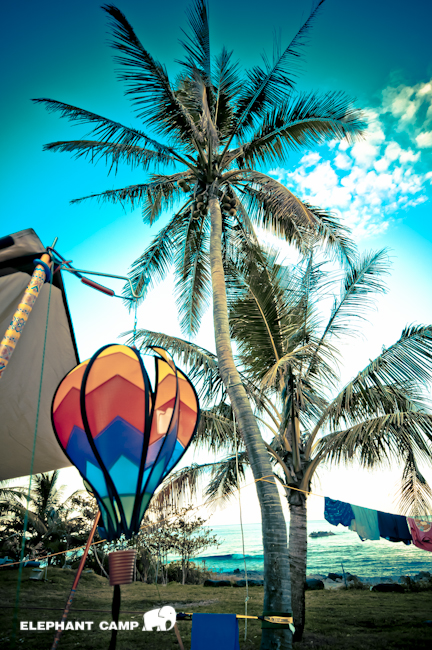 DSC_2380-136 DSC_2380-136