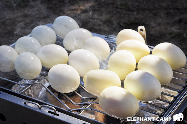 20131130-_DSC6077 20131130-_DSC6077