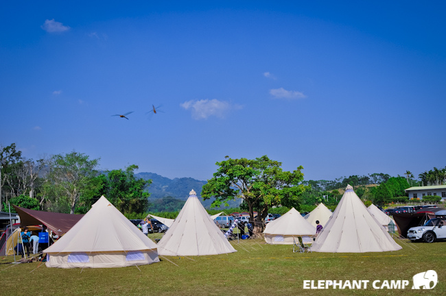 20131130-_DSC6118 20131130-_DSC6118