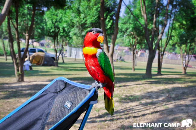 20131130-_DSC6224 20131130-_DSC6224