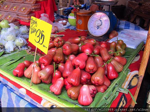 IMG_7240 IMG_7240