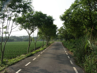 08.jpg 08.jpg