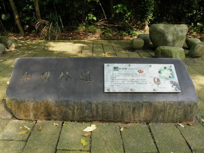20.jpg 20.jpg