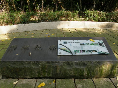 21.jpg 21.jpg