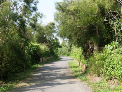 20.jpg 20.jpg