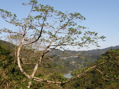 10.jpg 10.jpg