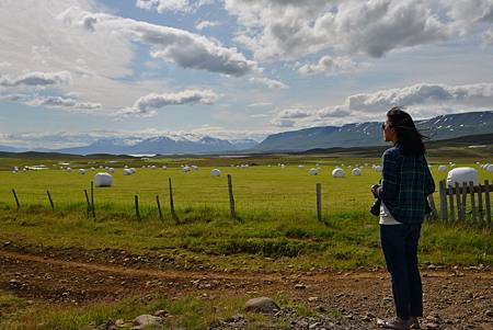 Ice_1270.JPG Ice_1270.JPG