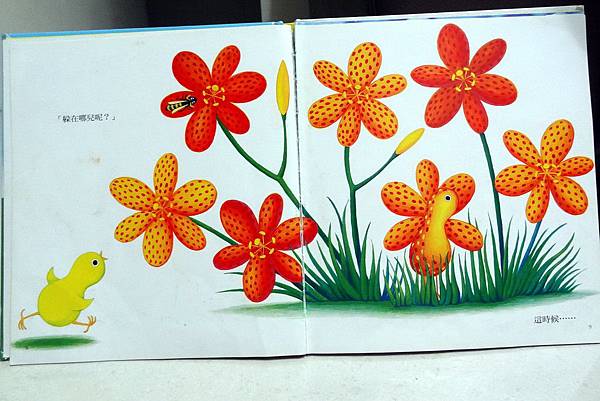 小鵪鶉捉迷藏-2