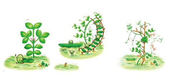 小蠶豆的一天-4