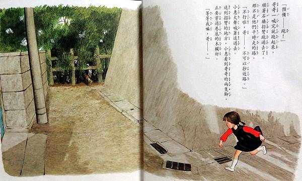 森林裡的迷藏王-1