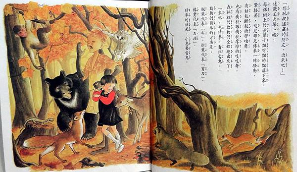 森林裡的迷藏王-3